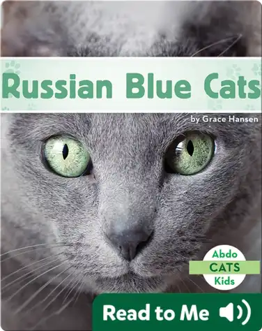 Russian Blue Cats book