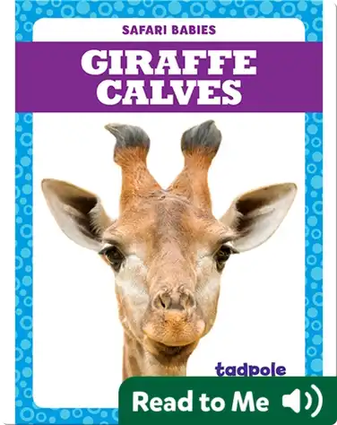 Giraffe Calves book