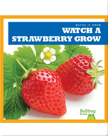 Watch a Strawberry Grow book