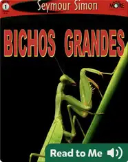 Bichos Grandes