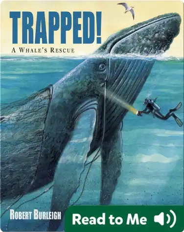 Trapped!: A Whale's Rescue book