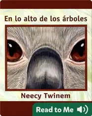 En lo Alto de los Árboles