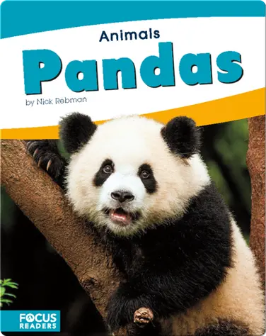 Animals: Pandas book