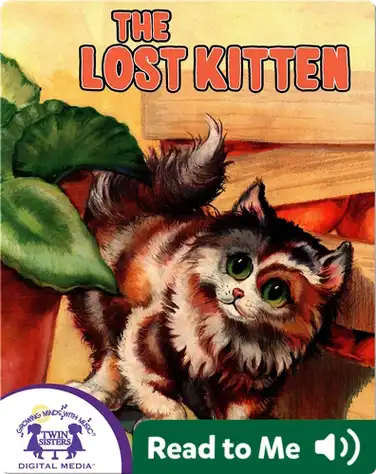 The Lost Kitten book