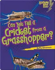 Can you Tell a Cricket from a Grasshopper?