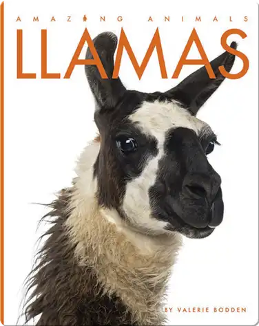 Amazing Animals: Llamas book