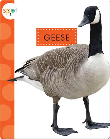 Backyard Animals: Geese book