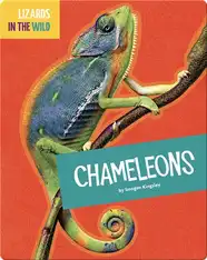 Lizards In The Wild: Chameleons