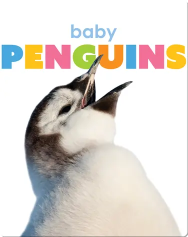 Starting Out: Baby Penguins book