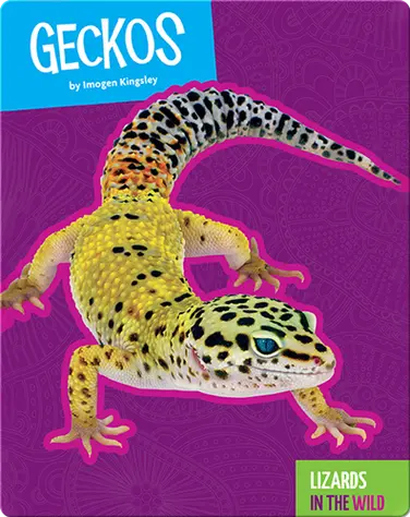 Lizards In The Wild: Geckos book