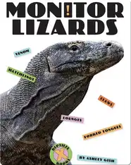 Monitor Lizards