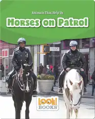 Horses on Patrol