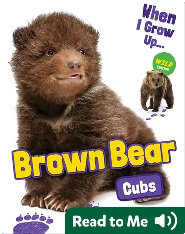 Brown Bear Cubs book