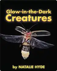 Glow-in-the-Dark Creatures