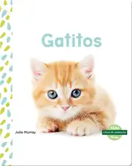 Gatitos