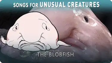 Songs for Unusual Creatures: The Blobfish book