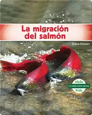 La migración del salmón