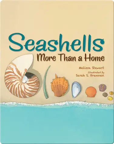 Seashells book