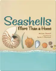 Seashells