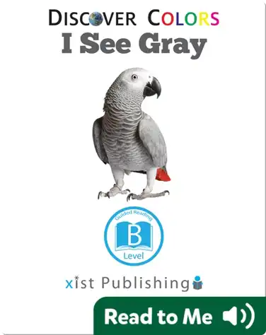 Discover Colors: I See Gray book