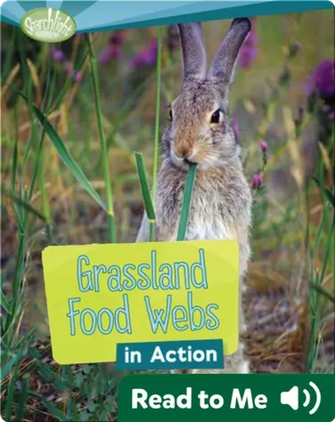 Grassland Food Webs in Action book
