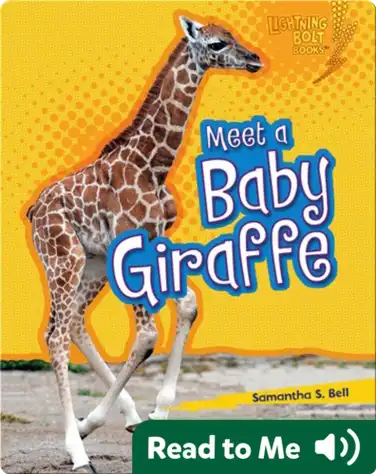 Meet a Baby Giraffe book