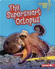 The Supersmart Octopus
