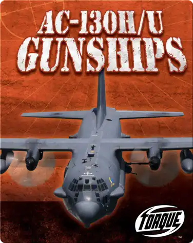 AC-130H/U Gunships book
