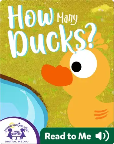 How Many Ducks? book