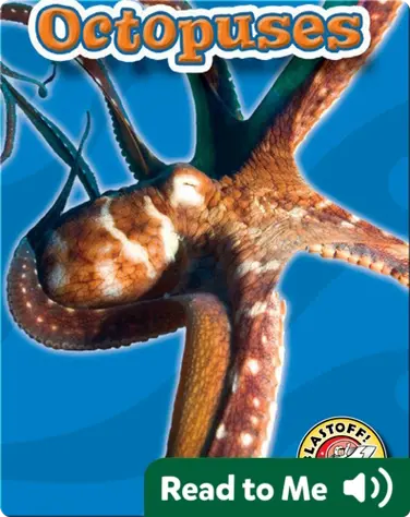 Octopuses: Oceans Alive book