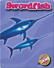 Swordfish: Oceans Alive
