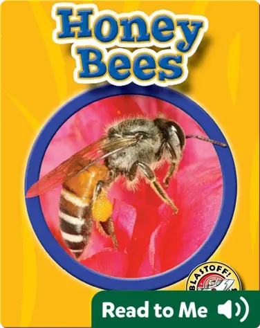 World of Insects: Honey Bees book