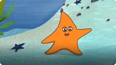 I’m A Starfish book