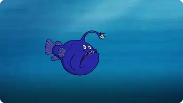 I’m A Football Fish book