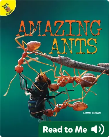 Amazing Ants book
