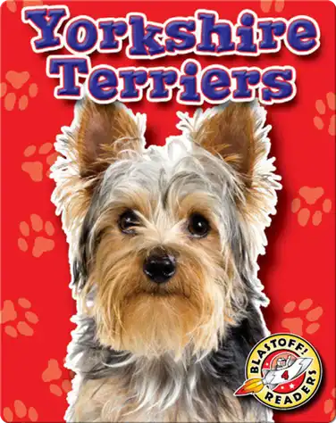 Yorkshire Terriers: Dog Breeds book