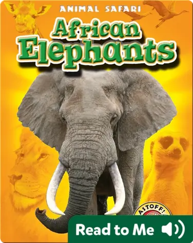 African Elephants: Animal Safari book