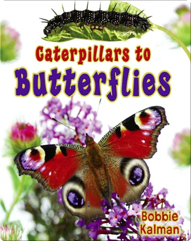 Caterpillars to Butterflies book