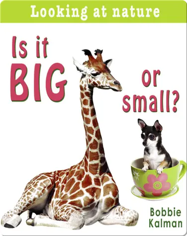 Is it Big or Small? book