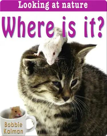 Where is it? book