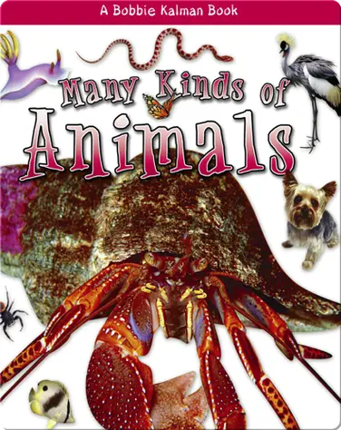 Many Kinds of Animals book