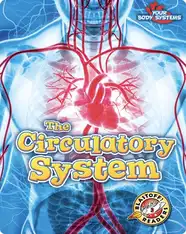 The Circulatory System