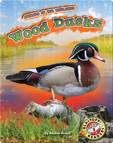 Animals of the Wetlands: Wood Ducks book