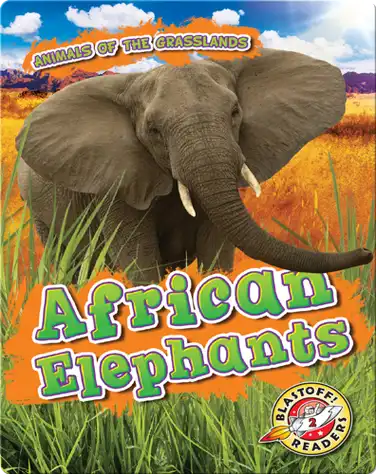 African Elephants book