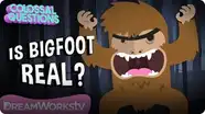 Could Bigfoot Be Real? | COLOSSAL QUESTIONS