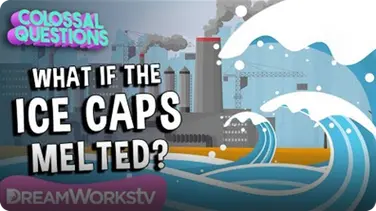 What Would Happen if the Ice Caps Melted? | COLOSSAL QUESTIONS book
