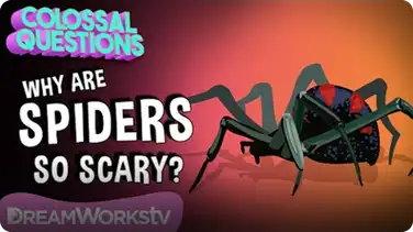 Why Are Spiders So Scary? | COLOSSAL QUESTIONS book