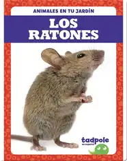 Los Ratones