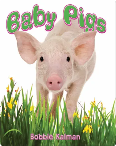 Baby Pigs book