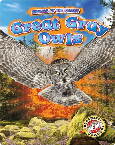 Animals of the Forest: Great Gray Owls book